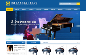新疆贝尔奇钢琴培训有限公司